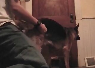 Thirsty animal fooling around with an eager dud