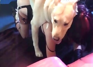 Canine savagely screwing her down on the ground