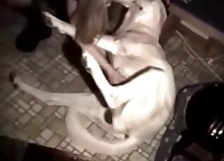 Brilliant zoophile blonde blows her own pup
