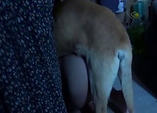 Brunette dreams of getting roughly fucked by dog