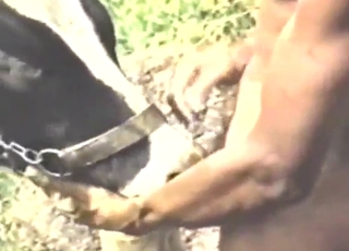 Compilation of the freakiest zoo sex ever recorded