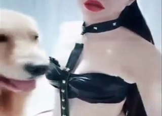 Chinese zoophile wants bestiality sex with dog