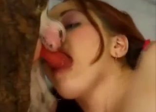 Personal video showing her sucking off a dog