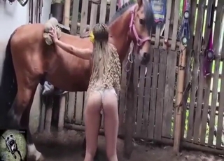 Bestiality porn with massive horse balls