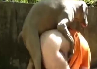Zoo sex with deep doggystyle penetration