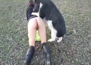 Zoo XXX with a pig fucking her sexy fuckhole
