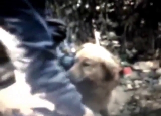 Outdoor zoo sex oral with a dog that sucks