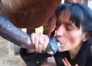 Horse-loving lady sucking off a hung stallion