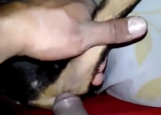 Cock fuck for a submissive animal in POV