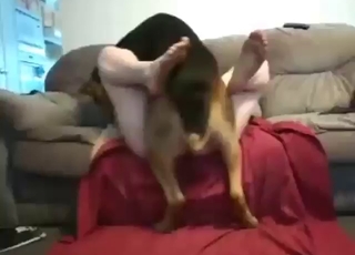 Sexed-up animal prepping for a crazy fuck