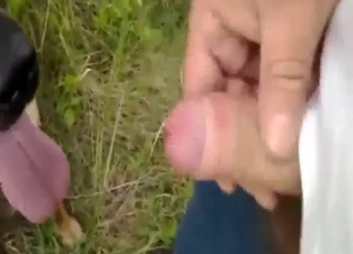 Zoo sex with outdoor cock licking and more