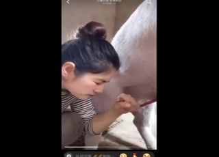 เซ็กส์สัตว์ชั้นยอดจากจีน: หมูเซ็กซี่ BJ