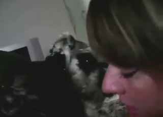 Zoo XXX movie with a brunette sucking dick