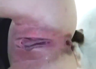 Hard ass fucking scene with a tight brunette