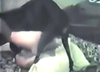 Zoo sex with a lady that gets fucked by black dog