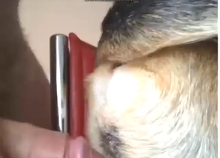 Tight hole animal getting fucked by a hot dude