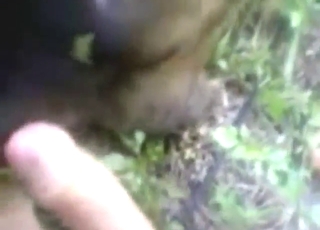 Black animal is going to get fucked by a dude