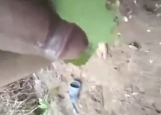 Dude puts pressure on a DONKEY with his cock