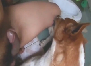 Oral sex with a sexy beast that gets to lick