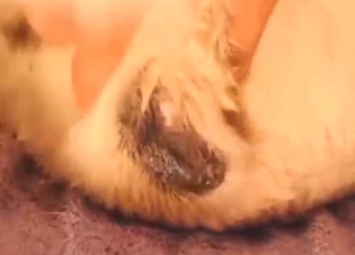 Submissive dog bitch wants that finger inside