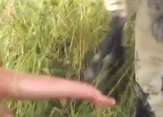 獣姦ポルノの雄牛、硬いチンポが美味しそう