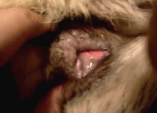 Creampie for a slutty animal that needs fresh seed