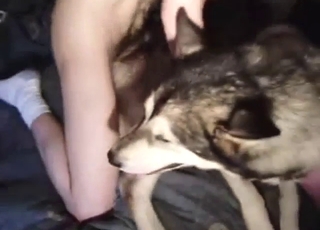 Dog in zoophile porn with nighttime doggystyle