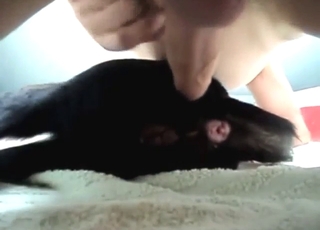 Bitch-ass black animal fucking and orgasming