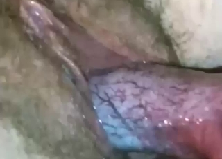 Gaping creampie close-up in insane zoofuck flick