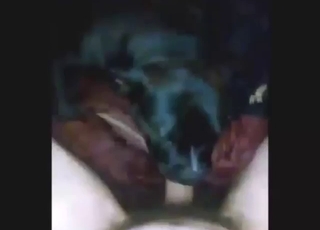 Zoo sex dealing with a sexy dog sucking dick