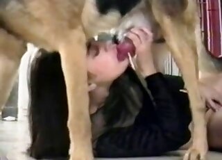 Alluring brunette is sucking her lovely doggy