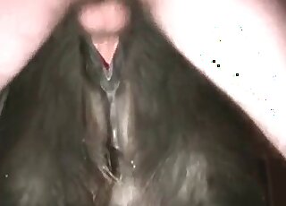 Wet mature pussy getting screwed by a hung dude