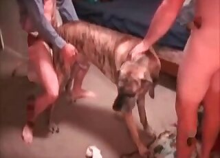 Awesome spit-roasting session with a doggo